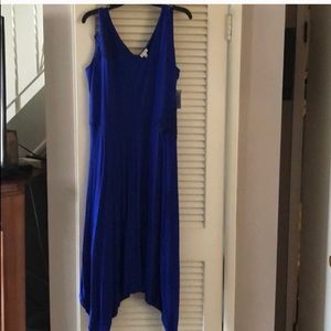 Spense Royal Blue Lace Appliqué Dress